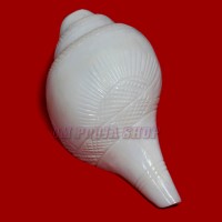 Sunrise Carving Natural Blowing Shankha